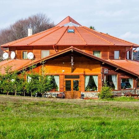Pensiunea Casa Zmeilor Dragus Экстерьер фото