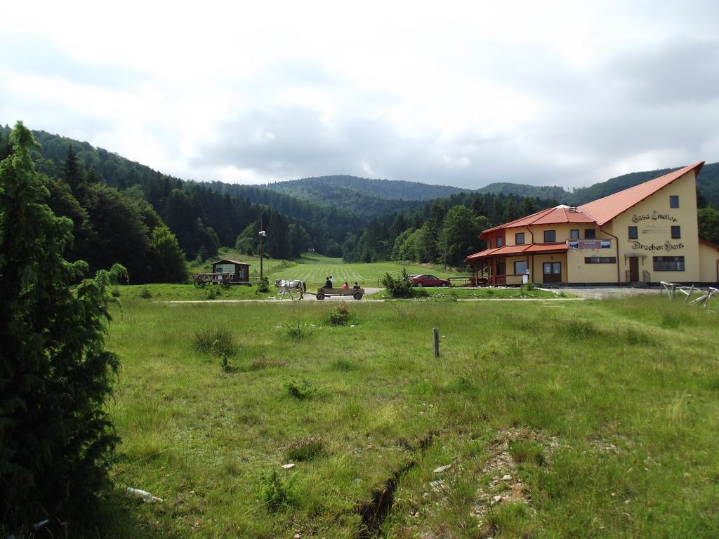 Pensiunea Casa Zmeilor Dragus Экстерьер фото
