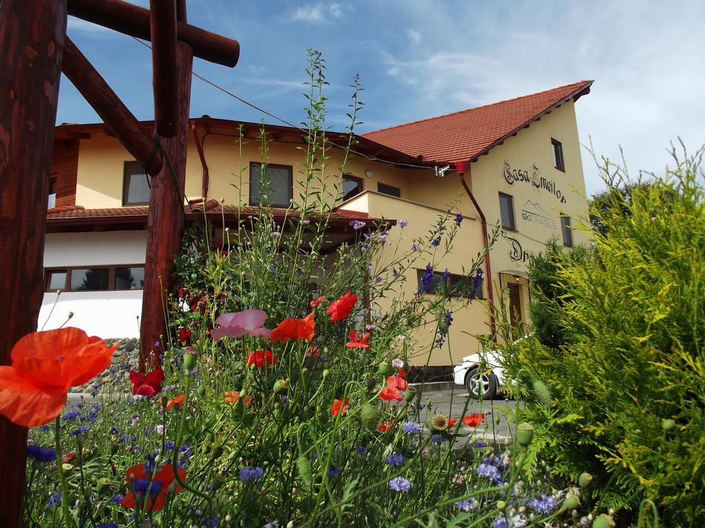 Pensiunea Casa Zmeilor Dragus Экстерьер фото