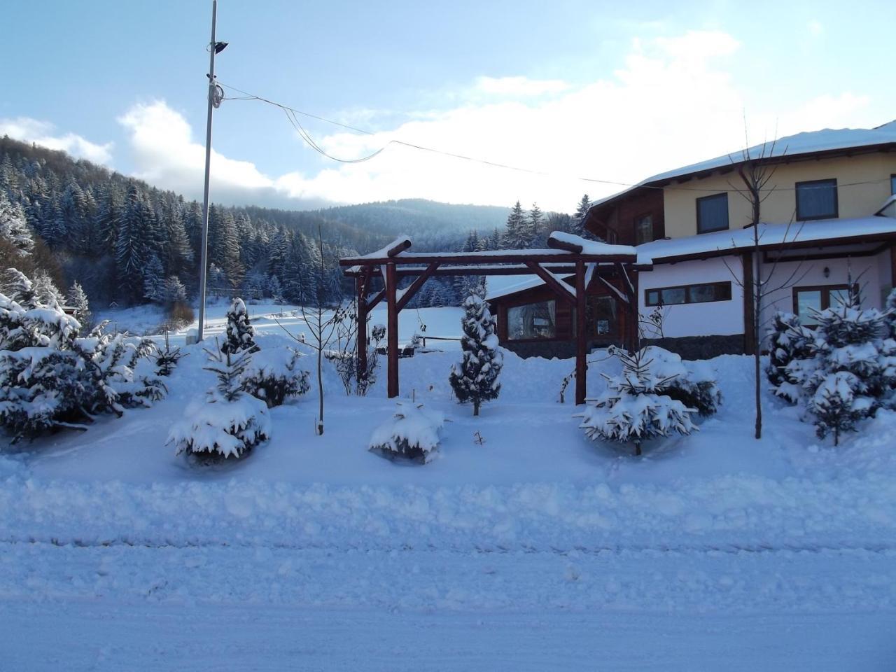 Pensiunea Casa Zmeilor Dragus Экстерьер фото